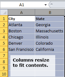 Screen capture showing autosized columns.