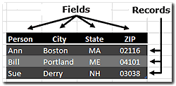 Excel spreadsheet showing rows and columns as records and fields.