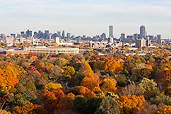 Trees with Green, Red, Yellow and Orange Foliage and Boston Skyline in Background
