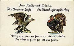 Postcard with turkey and eagle as national birds.