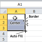 Mouse Positions in Cell.